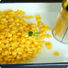 Wholesale Vacuum Packed Whole Kernel Sweet Corn in Tin Can